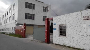 廣州安德斯防水建材廠(chǎng) 建筑防水領(lǐng)域的可靠伙伴