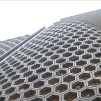 連鎖護(hù)坡模具工字護(hù)坡模具塑料模具系列產(chǎn)品——保定開(kāi)元國(guó)通塑料模具模盒廠(chǎng)專(zhuān)業(yè)展示